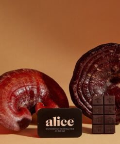 Alice Mushrooms NightCap – 4 Tins (64 Doses)