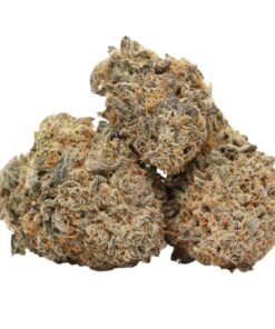 Dark Matter