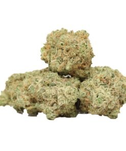 Gelato #33