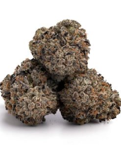 Grandaddy Purple