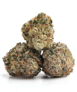 Jack Herer