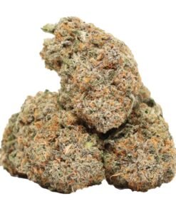 Jet Fuel