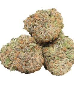 Maui Berry