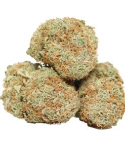 Casey Jones
