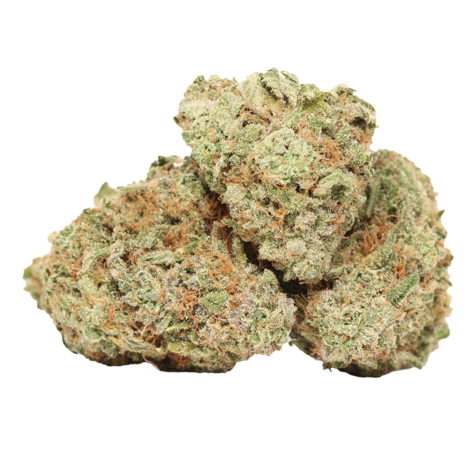 Chemo-kush-strain (1)