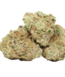 Chemo Kush