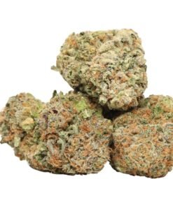Lemon Skunk