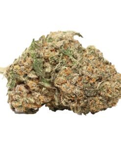Purple Kush
