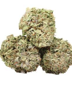 Purple Urkle