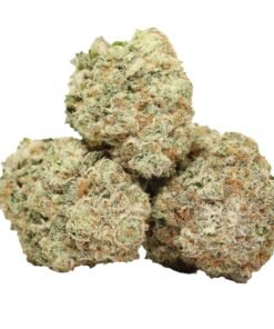 Quantum Kush AAAA+ Sativa Craft By Fore House