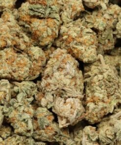 Super Lemon Haze