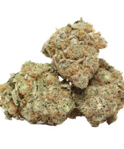 UBC Chemo Kush