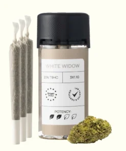 LIGHT PRE-ROLLS