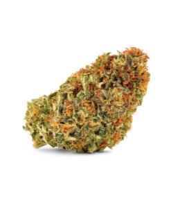 Afghan Kush
