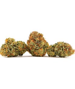 Afghan Kush