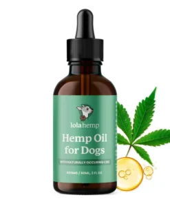 CBD Oil