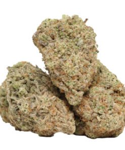 Cannabis