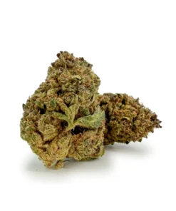 THC-A Flower Miracle Alien Cookies