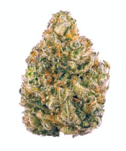 AK-47 Strain