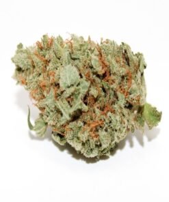 Blue Dream Strain