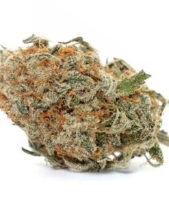 Blue Cheese Strain